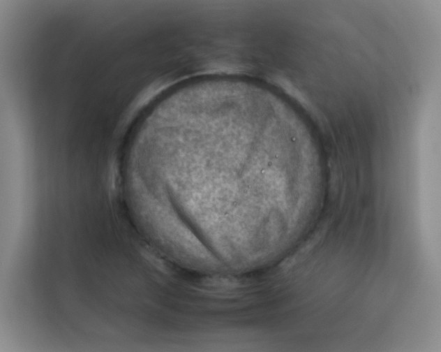 X0000113641215200910091530