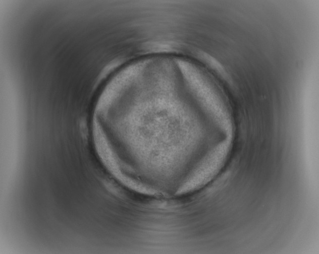 X0000113641218200910091530