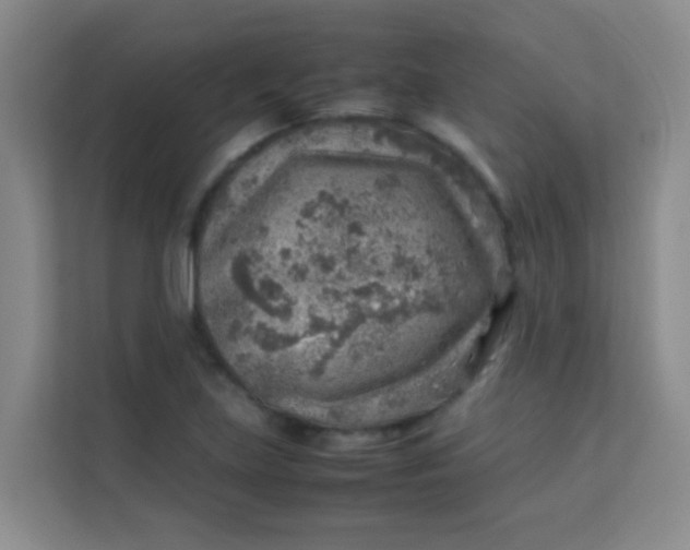 X0000113641219200910091530