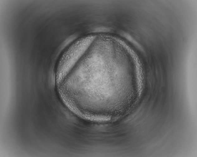 X0000113641221200910091530