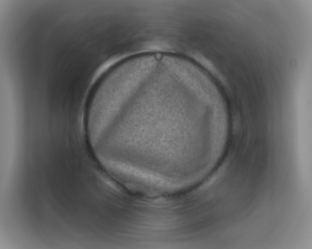 X0000113641222200910091530