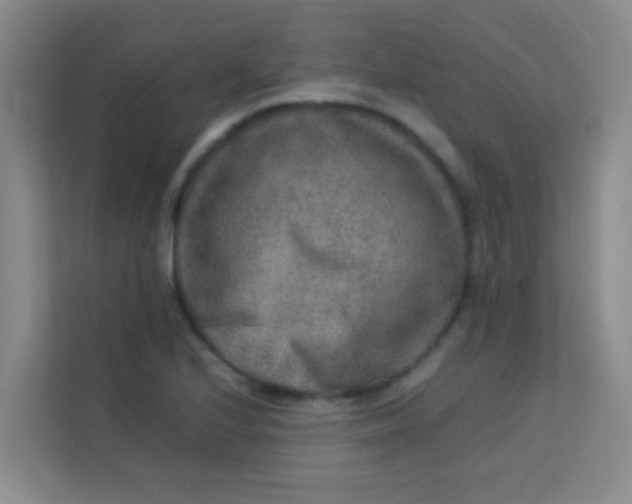 X0000113641224200910091530