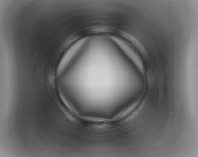 X0000113641225200910091530