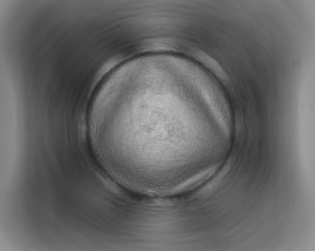 X0000113641226200910091530