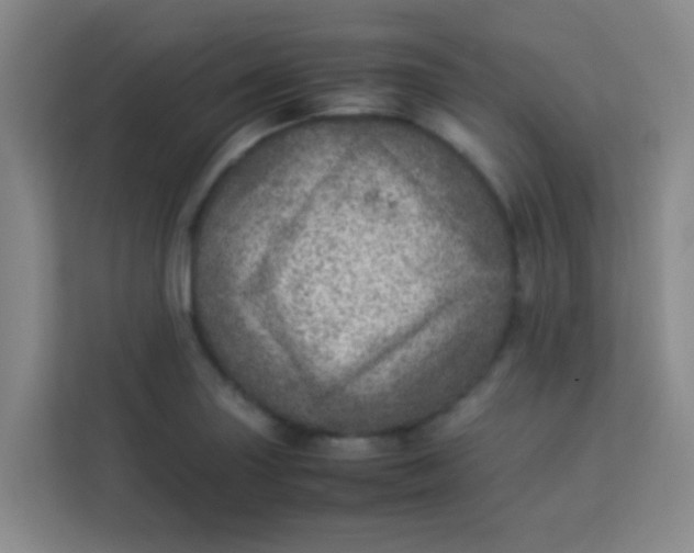 X0000113641227200910091530