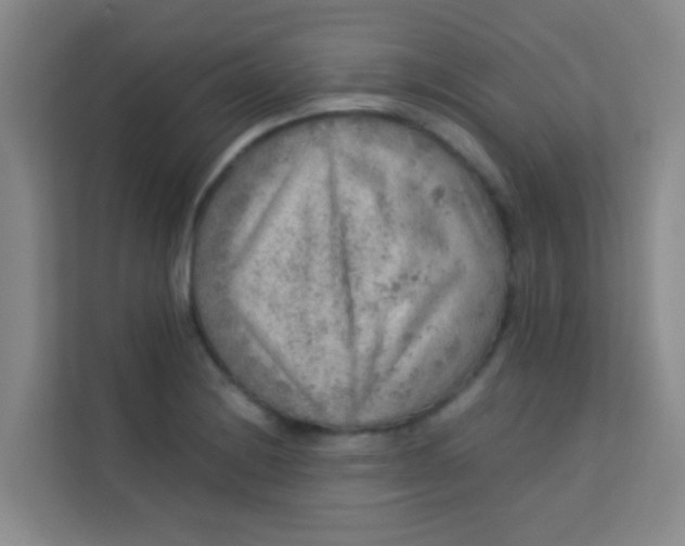 X0000113641228200910091530