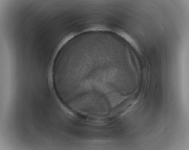 X0000113641229200910091530