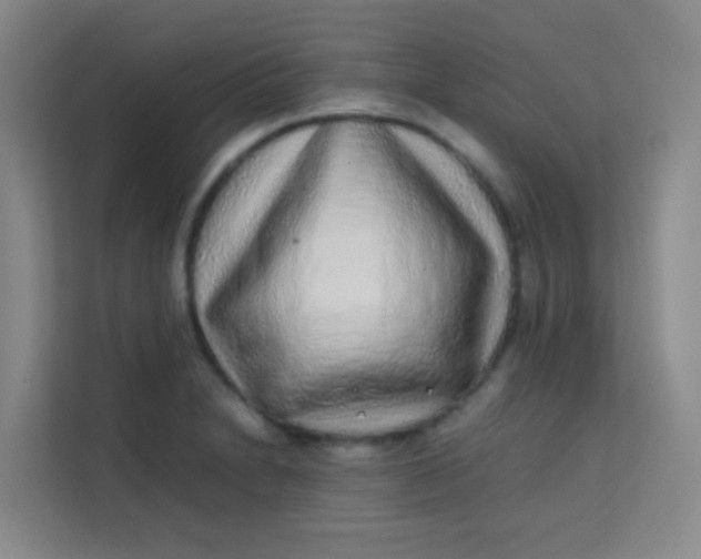 X0000113641230200910091530