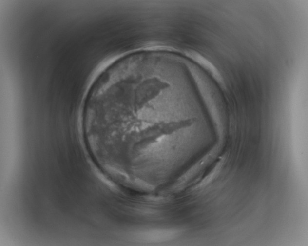 X0000113641231200910091530