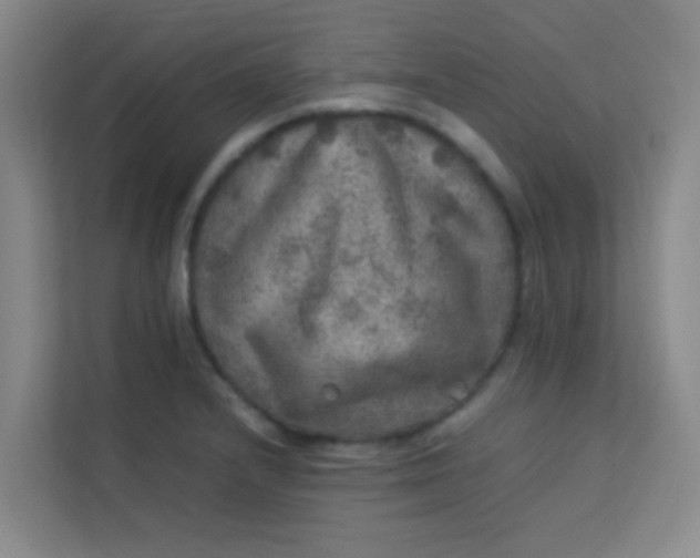 X0000113641232200910091530