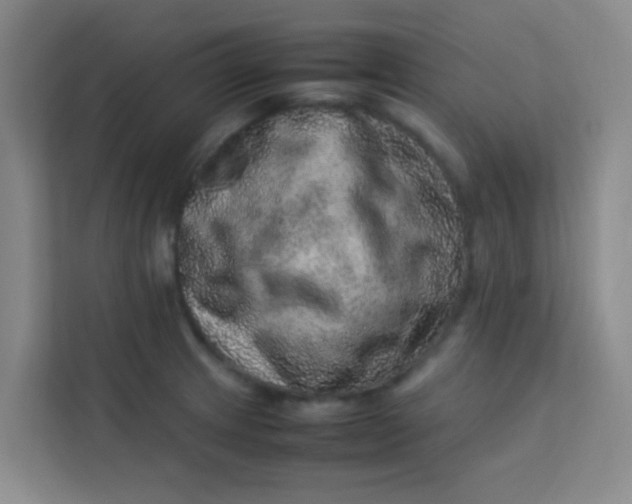 X0000113641233200910091530