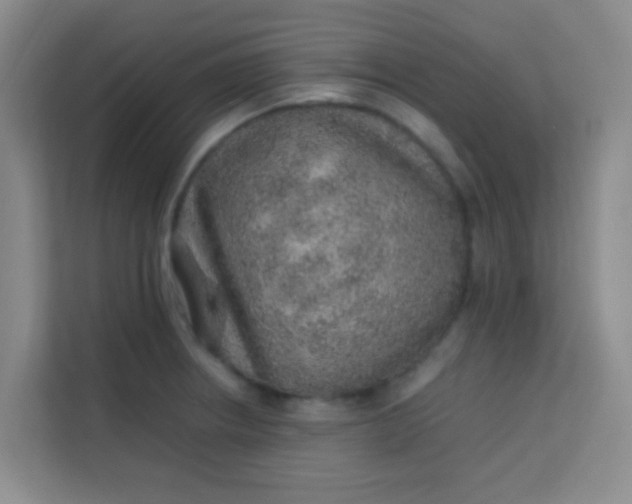 X0000113641234200910091530