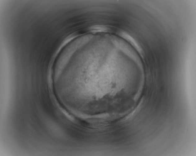 X0000113641235200910091530