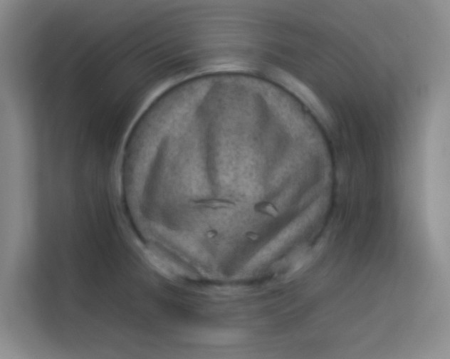 X0000113641236200910091530