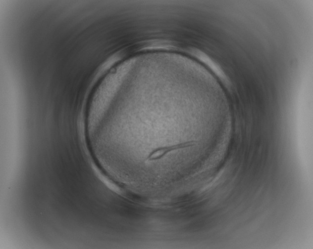 X0000113641237200910091530