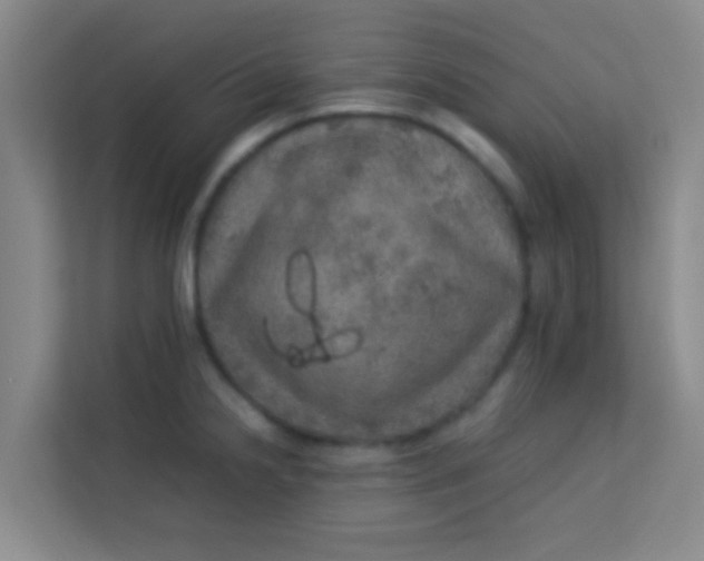 X0000113641238200910091530