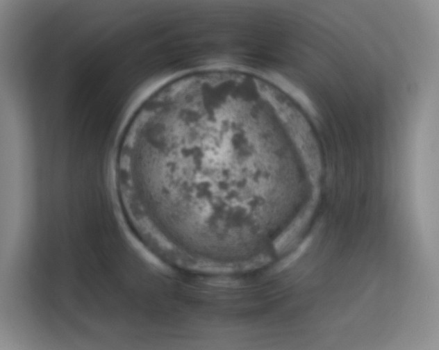 X0000113641239200910091530