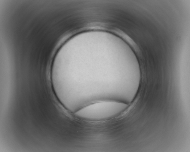 X0000113641240200910091530