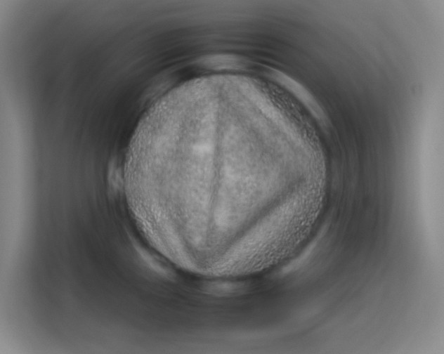 X0000113641241200910091530