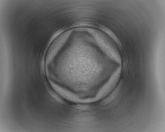 X0000113641242200910091530