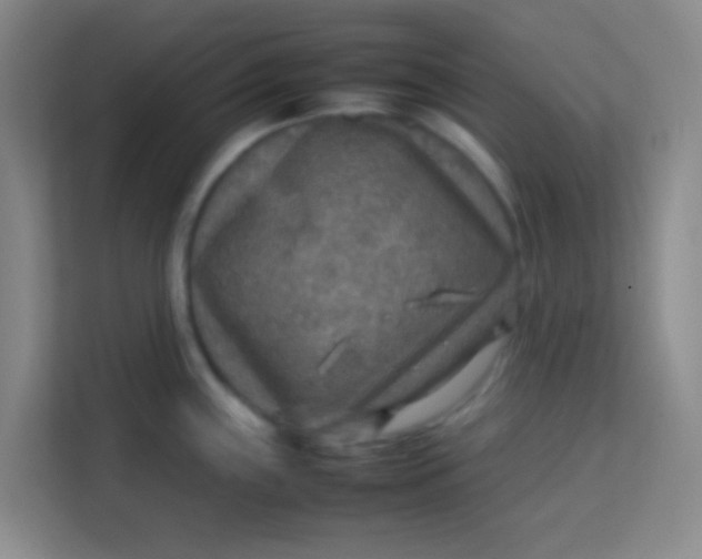 X0000113641243200910091530