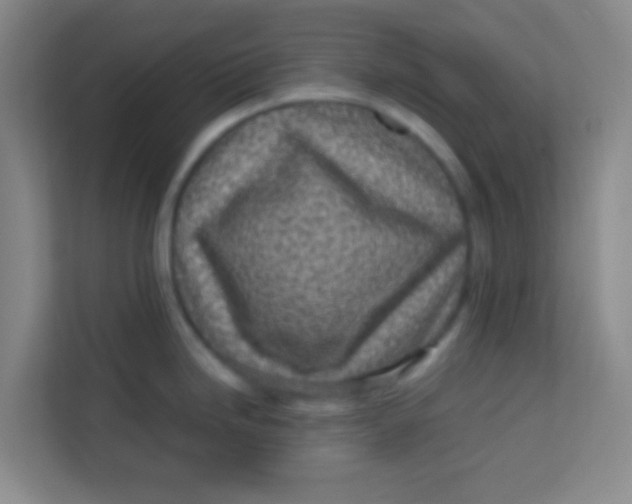 X0000113641246200910091530