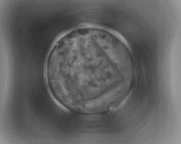 X0000113641247200910091530