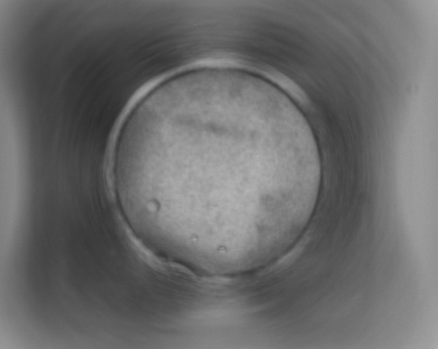 X0000113641248200910091530