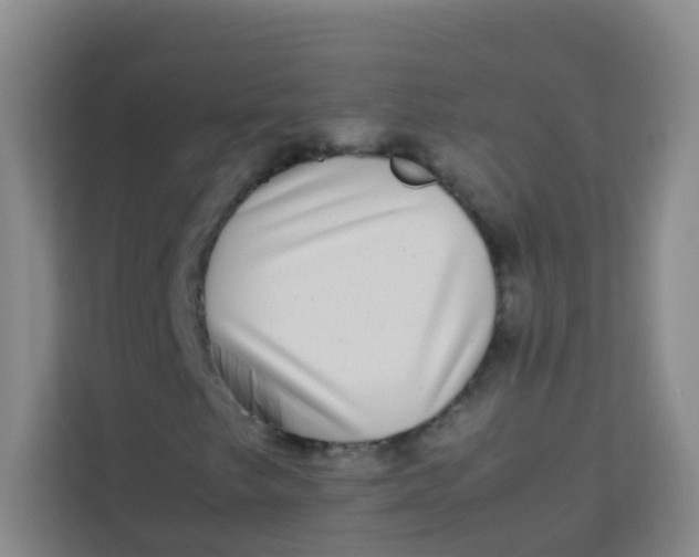 X0000113641249200910091530