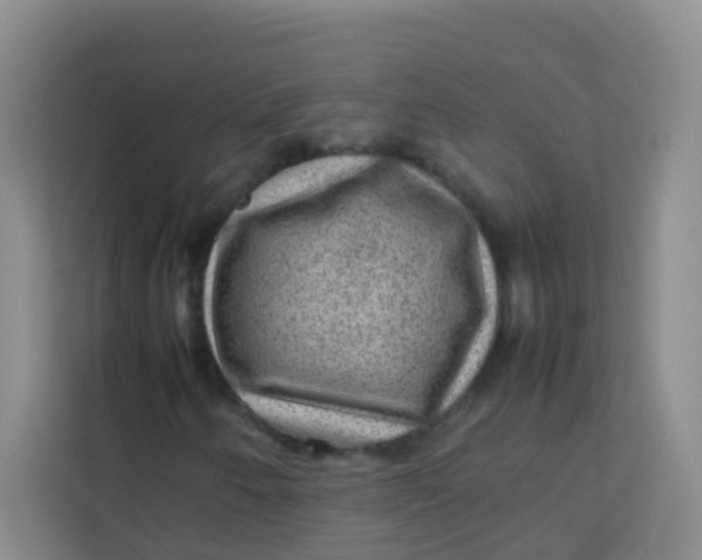 X0000113641250200910091530