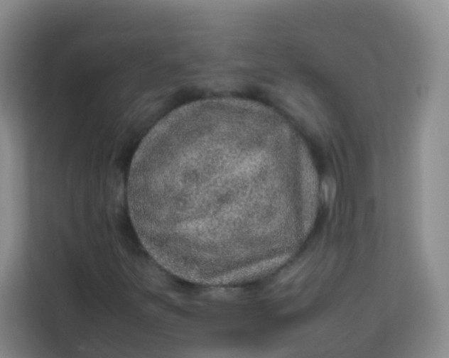 X0000113641251200910091530