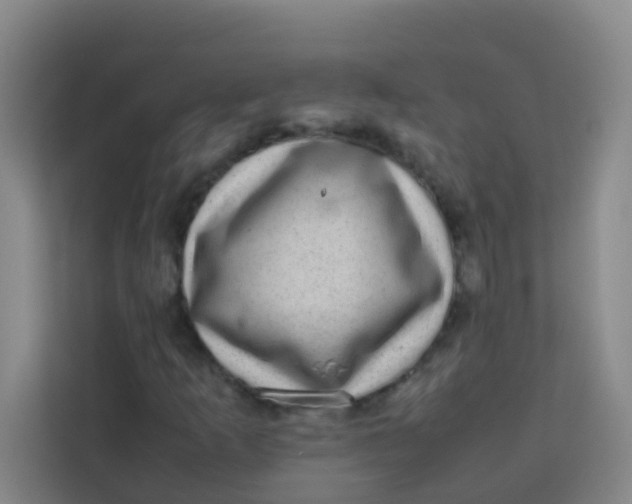 X0000113641253200910091530