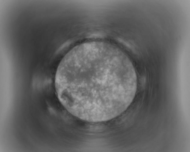 X0000113641254200910091530