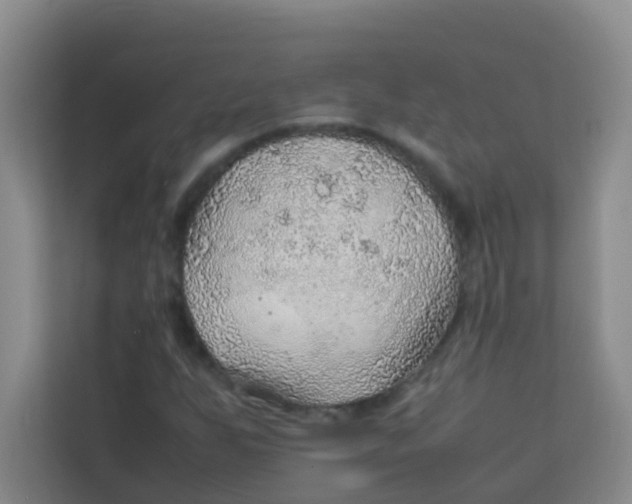 X0000113641255200910091530