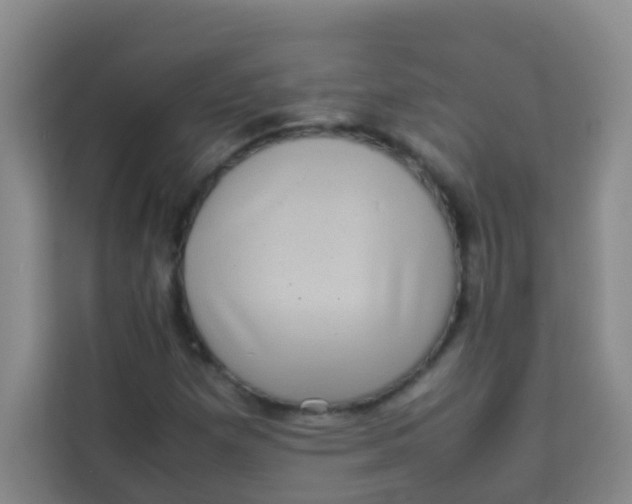 X0000113641257200910091530