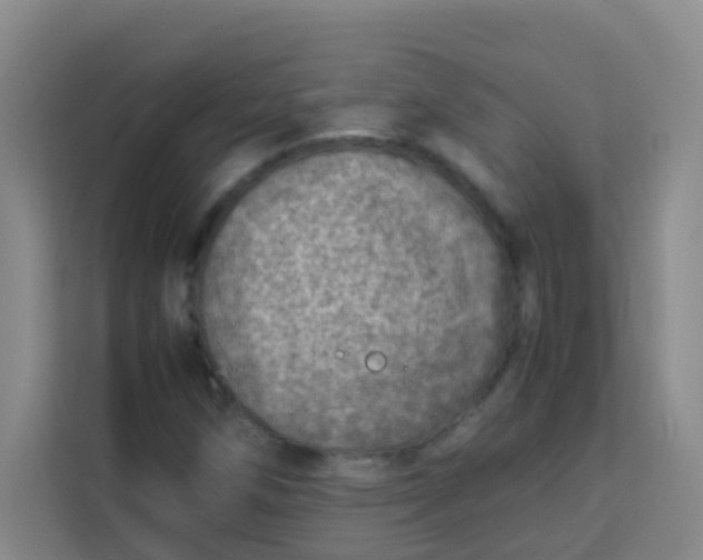 X0000113641258200910091530