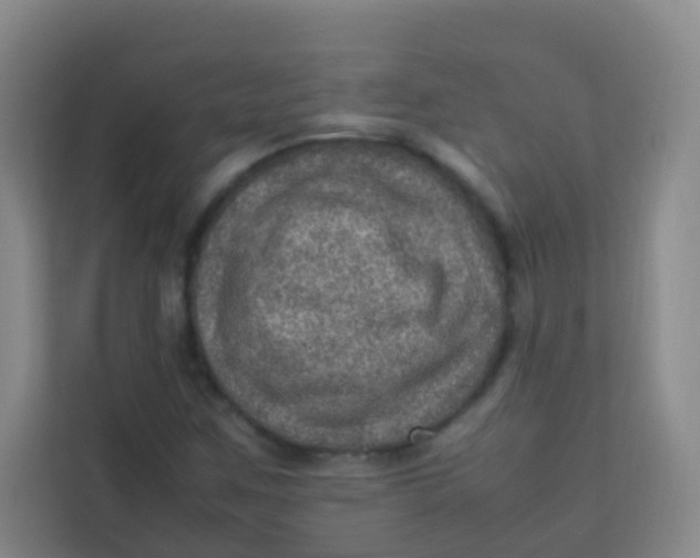 X0000113641259200910091530