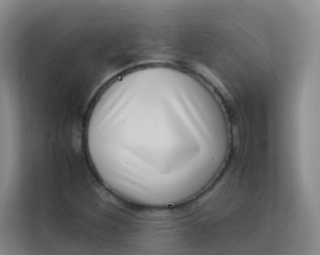 X0000113641260200910091530