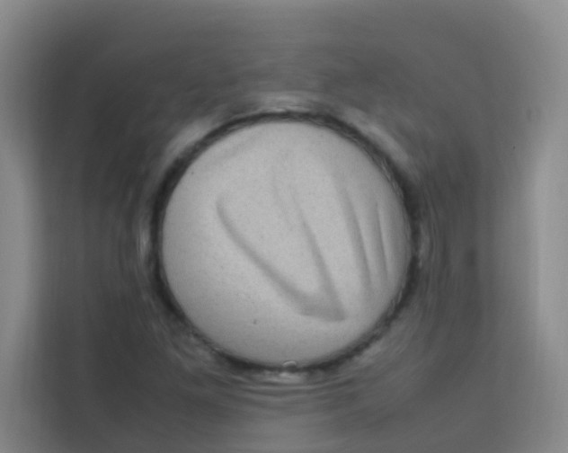 X0000113641261200910091529