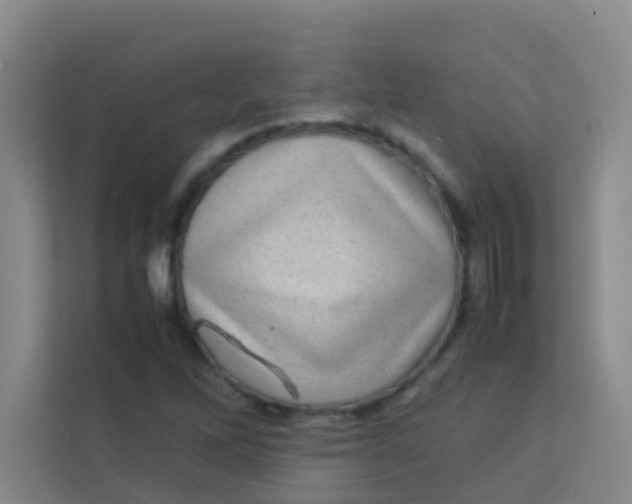 X0000113641262200910091529