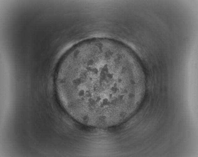 X0000113641263200910091529