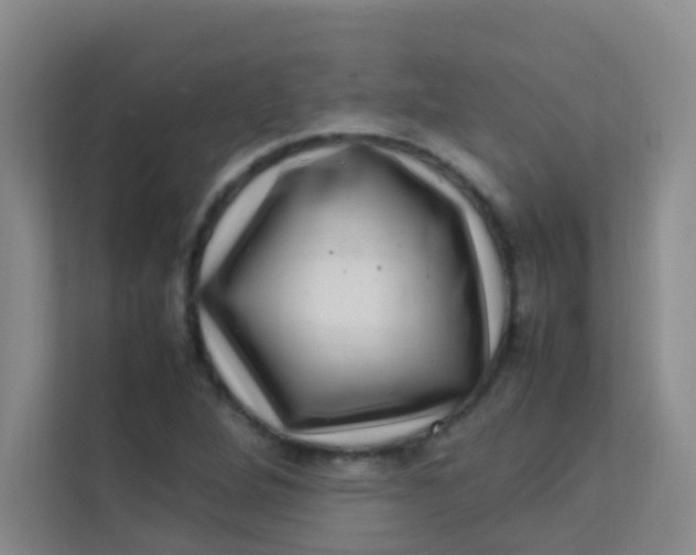 X0000113641264200910091529