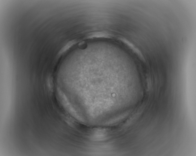 X0000113641266200910091529