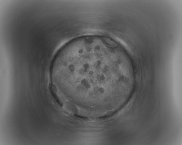 X0000113641267200910091529