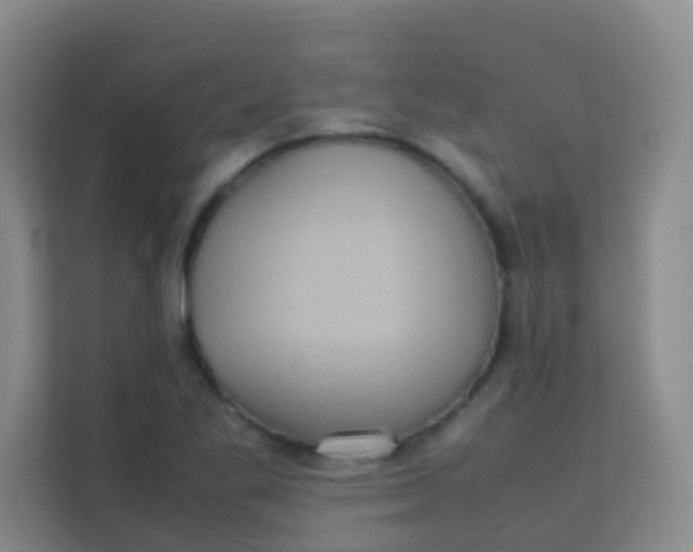 X0000113641269200910091529