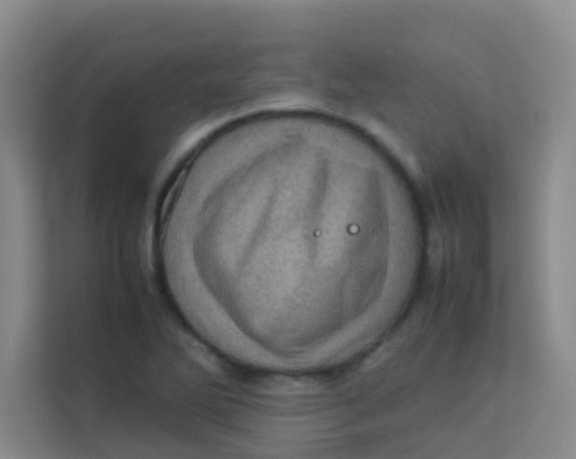 X0000113641270200910091529