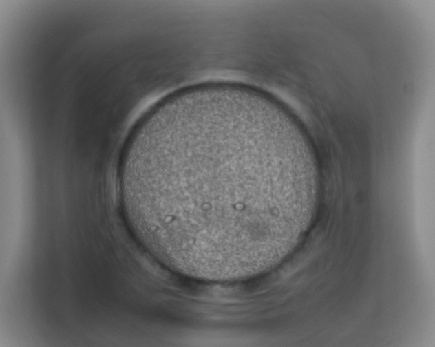 X0000113641271200910091529