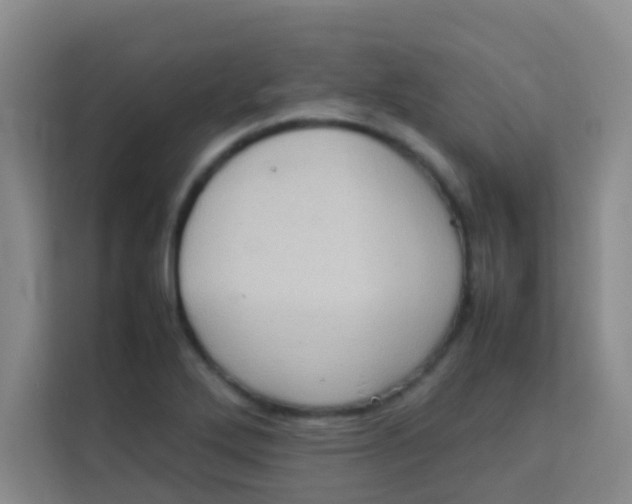 X0000113641272200910091529