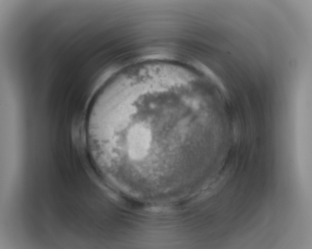 X0000113641274200910091529