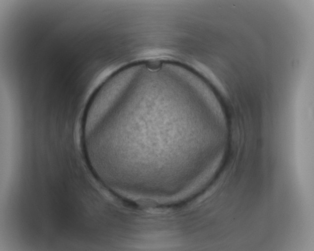 X0000113641277200910091529